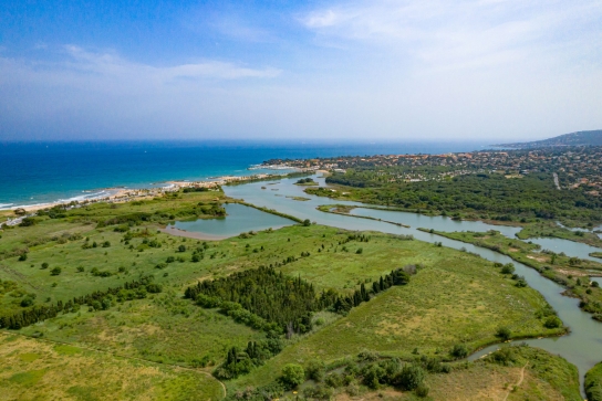 Etang de villepey, petite camargue du var