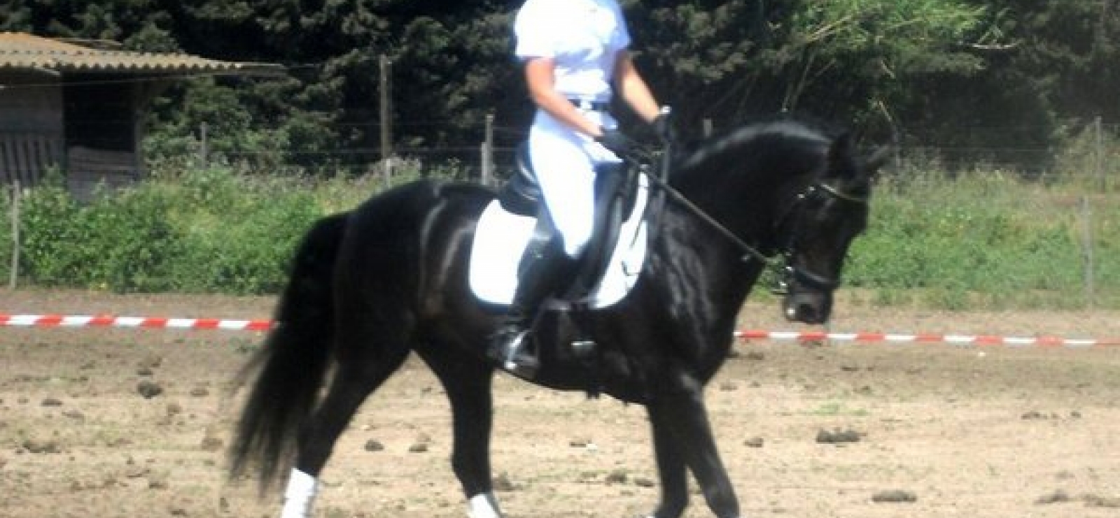 Cheval