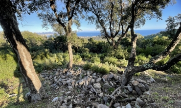 Ruines dolmens