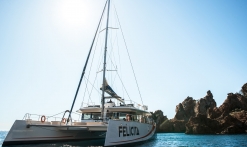 Demi-journée en maxi catamaran - AMC Cape Grace