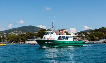 bateaux verts