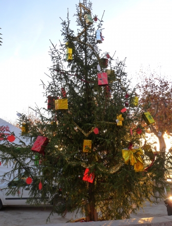 sapin