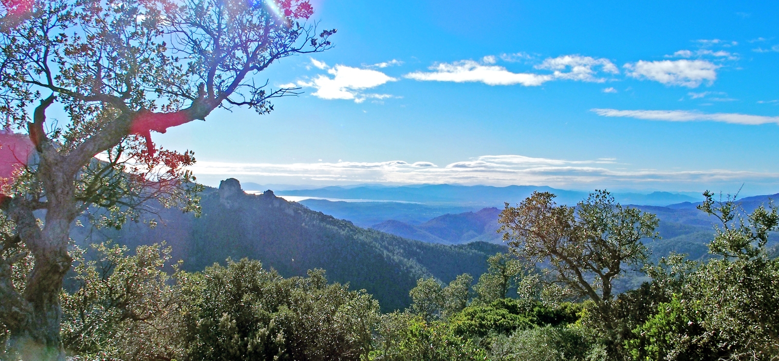 Randonnée 'L'Estérel, Notre Dame d'Afrique et le Col de Théoule