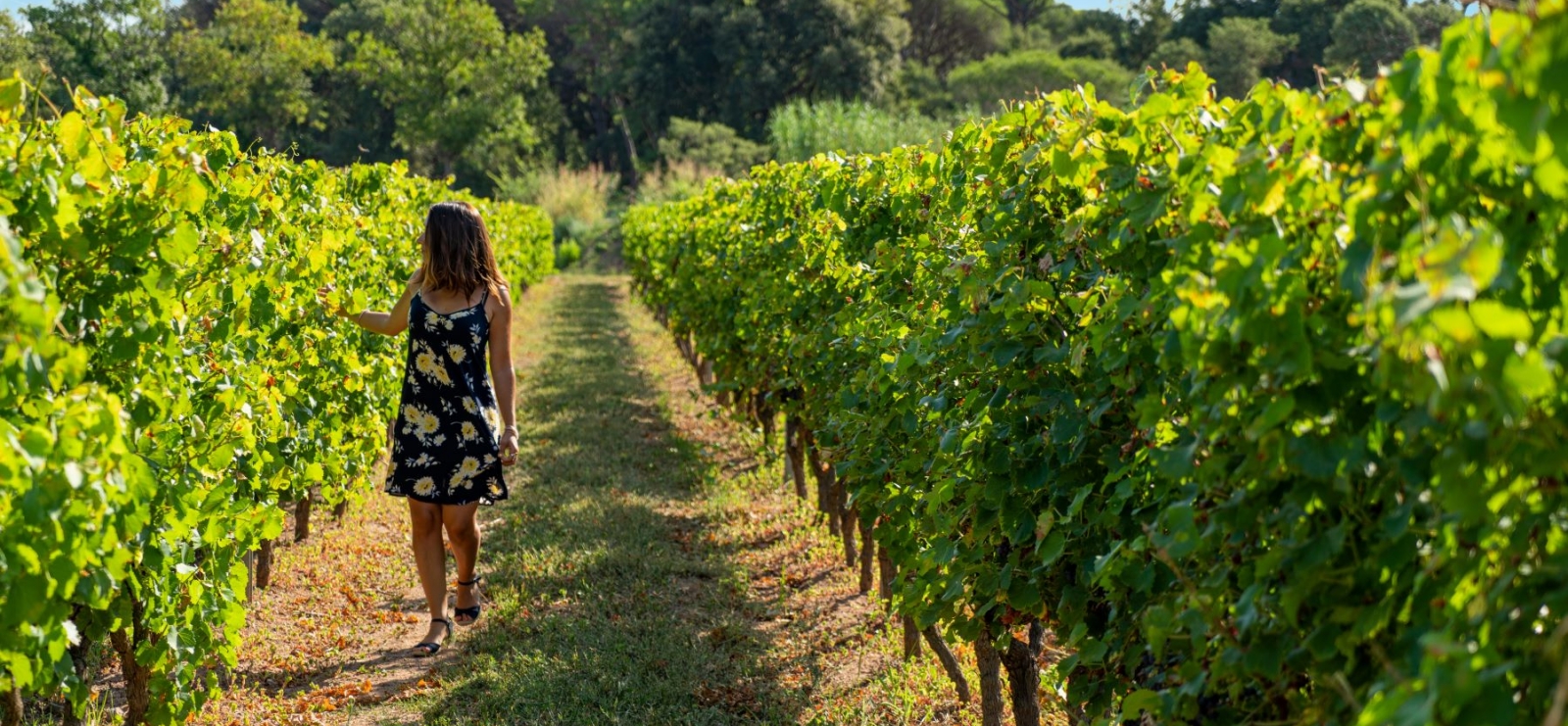 Groupe_patrimoine_vestiges_romains_vins-provence