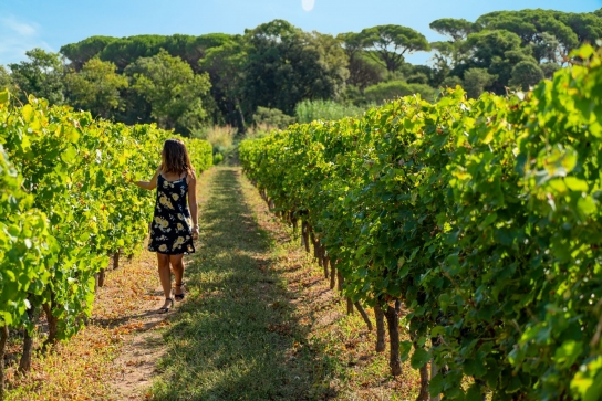 Groupe_patrimoine_vestiges_romains_vins-provence