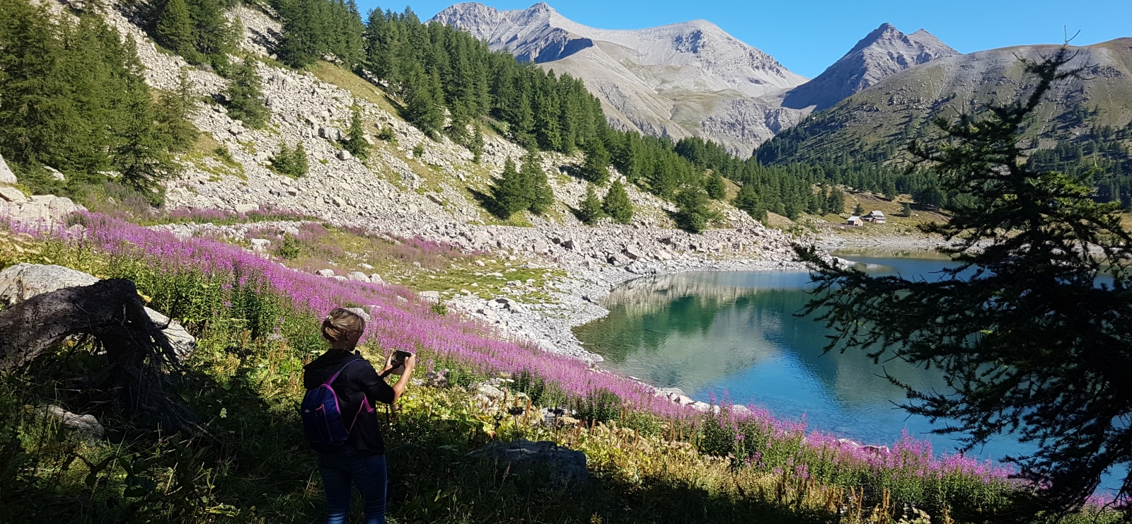 Rando terres d'Azur Lac d'Allos