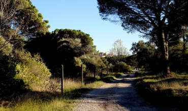 Chemin de Compostelle