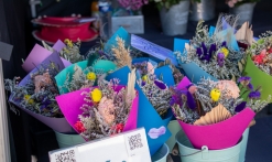 Fête du printemps et des plantes