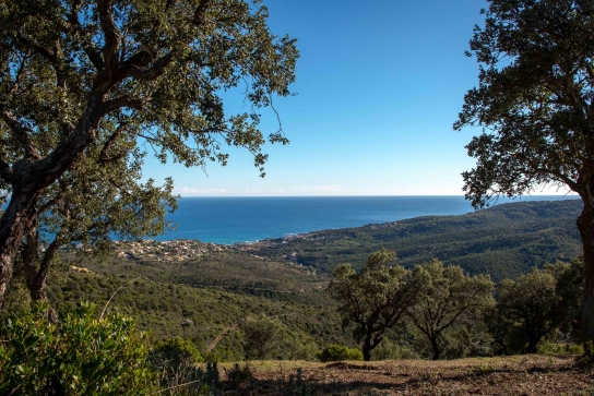 Vue hauteurs Issambres