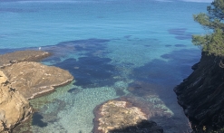Les Iles de Port Cros et Porquerolles avec les Bateaux Verts au départ du Port des Issambres