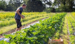 Dans le jardin