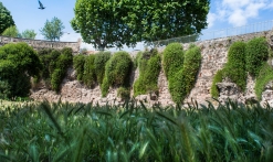 Porte des Gaules