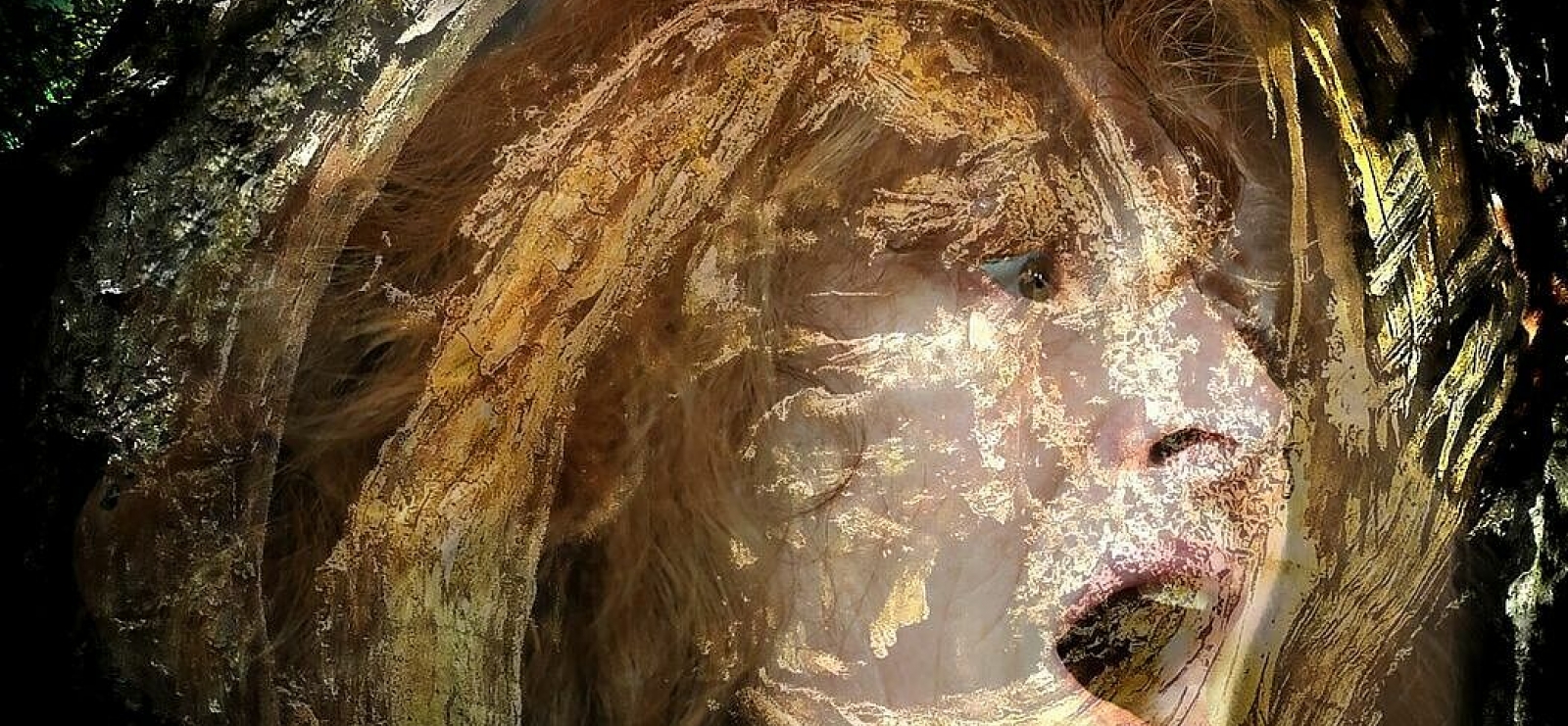 « Mes Éphémères »