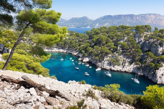 Cassis