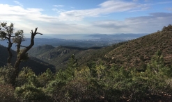 Trail - Trail Hermès Estérel (10 km)