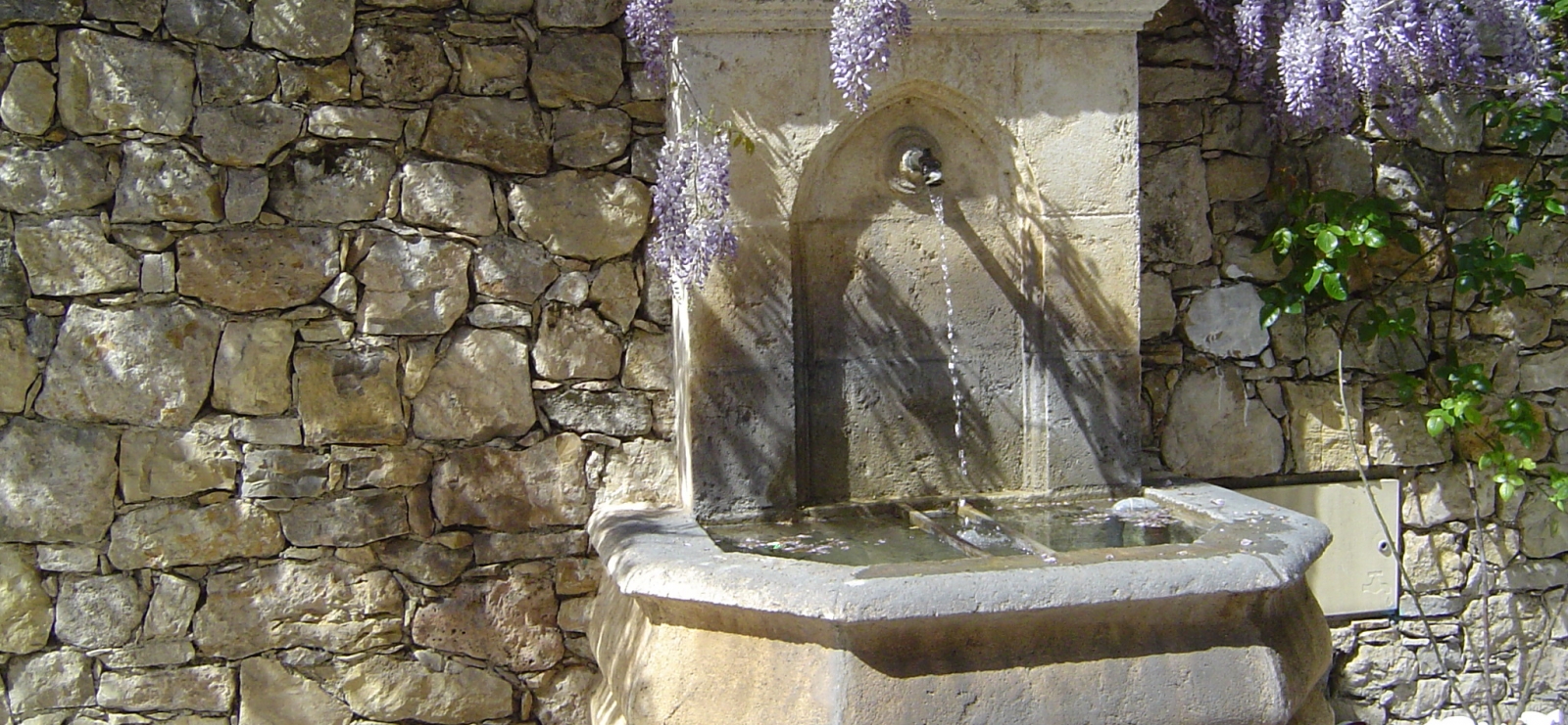 fontaine et glycine