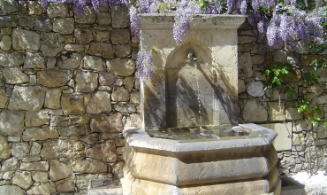 fontaine et glycine