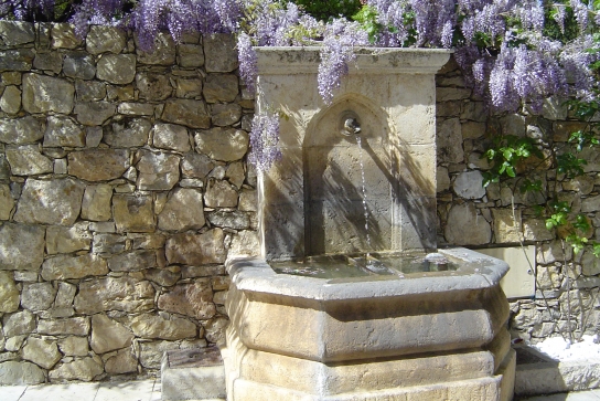 fontaine et glycine