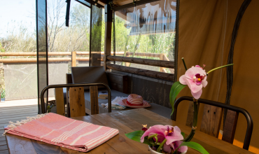 lodge premium