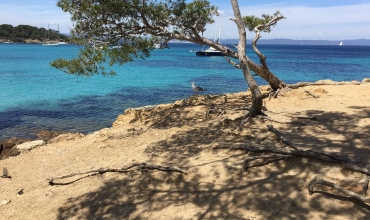 Les Iles de Port Cros et Porquerolles avec les Bateaux Verts au départ du Port des Issambres