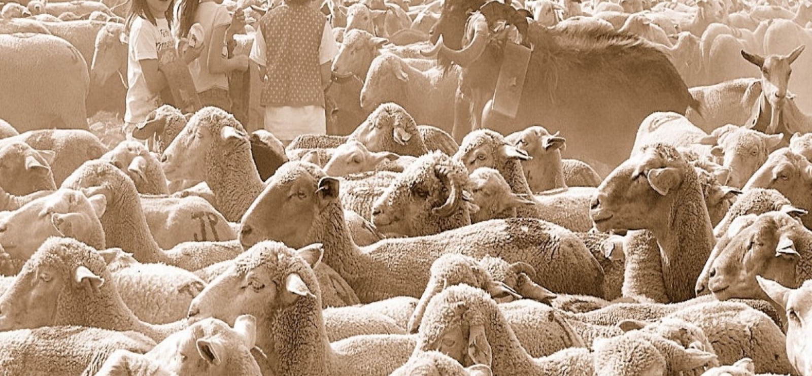 Fête de la transhumance