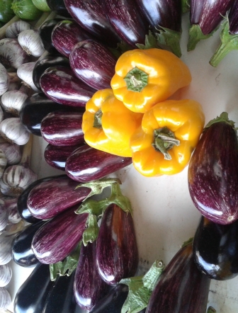 Photo Marché Fayence