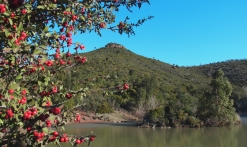Randonnée : Tour des Lacs des Peguières