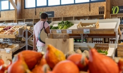 Découvrez les produits locaux