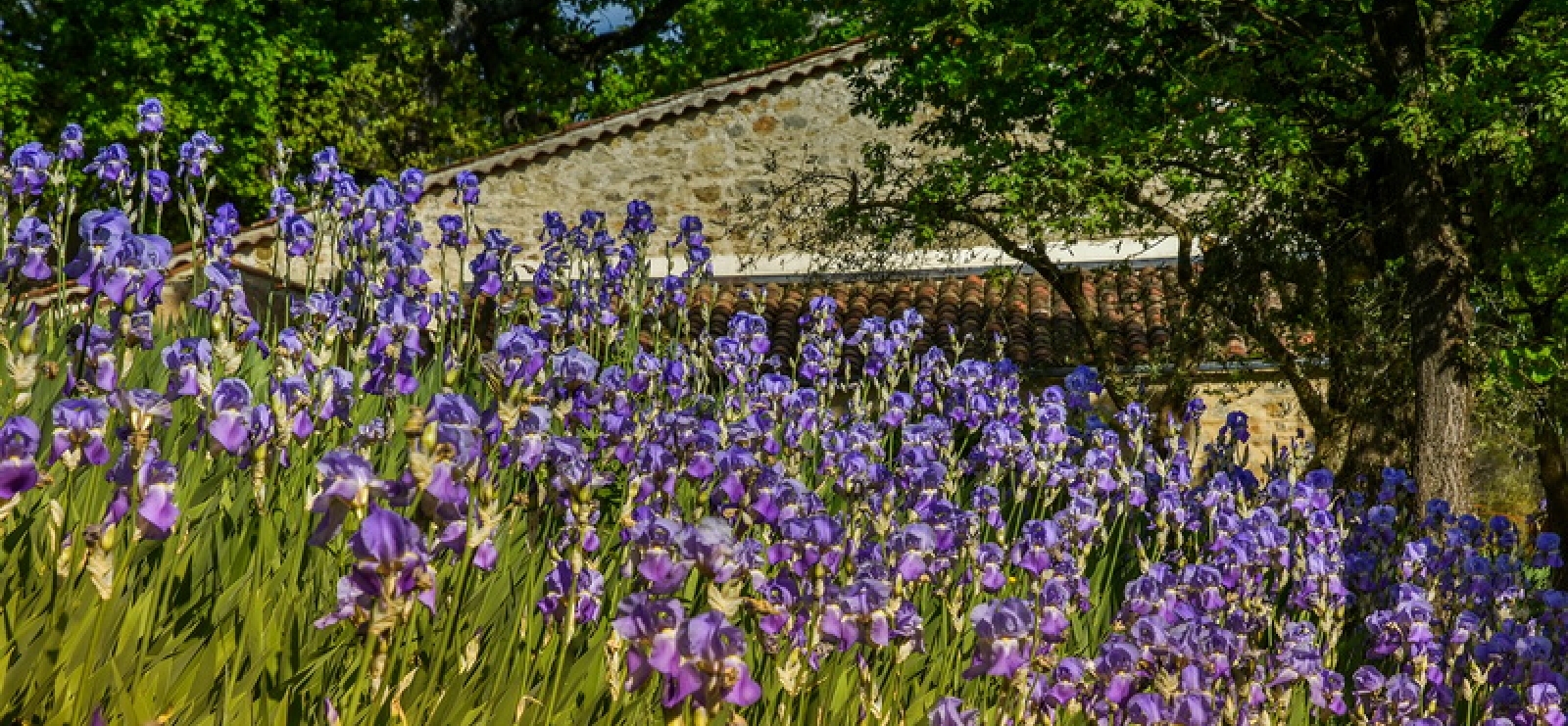 Domaine viticole Val d'Iris