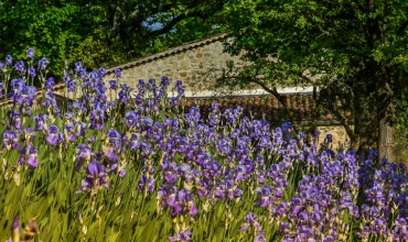 Domaine viticole Val d'Iris