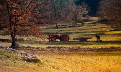 Domaine viticole Val d'Iris