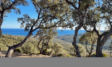 vallon de la gaillarde sur les hauteurs des Issambres