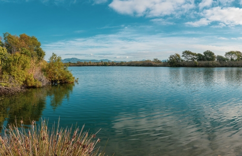 Etangs de Villepey - Fréjus - St Aygulf