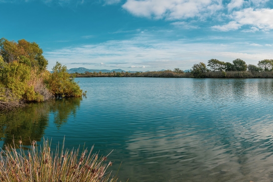 Etangs de Villepey - Fréjus - St Aygulf