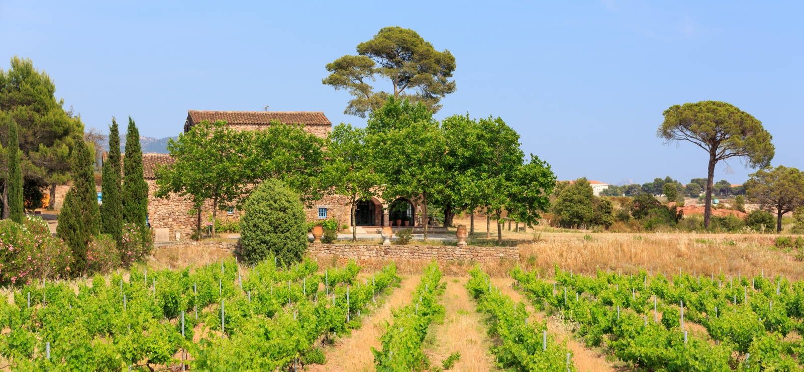 Visites gourmandes du Château de Cabran