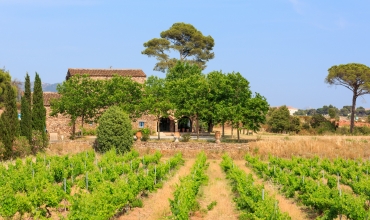 Visites gourmandes du Château de Cabran