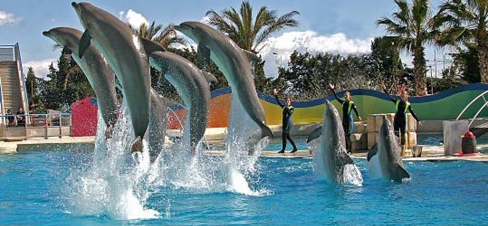 Marineland : Embarquez pour un autre monde