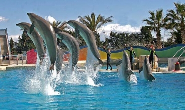 Marineland : Embarquez pour un autre monde