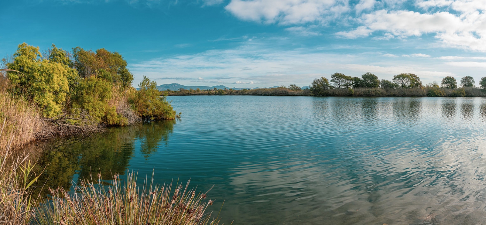 Etangs de Villepey - Fréjus - St Aygulf