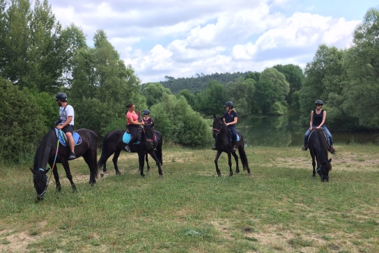Journée détente à cheval/poney