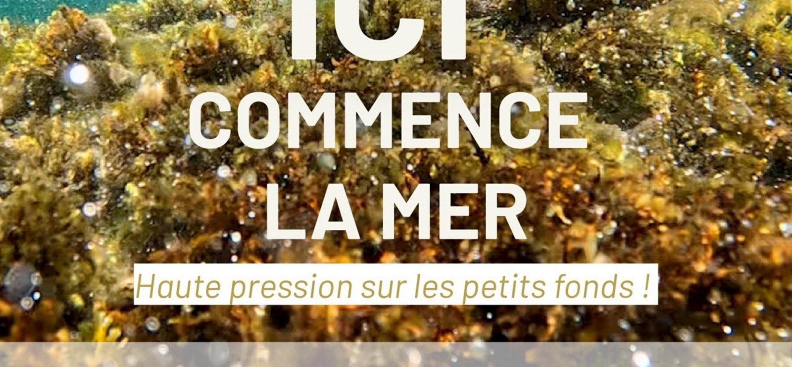 Ciné débat 'Ici, commence la mer'