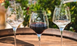 vins des Selves