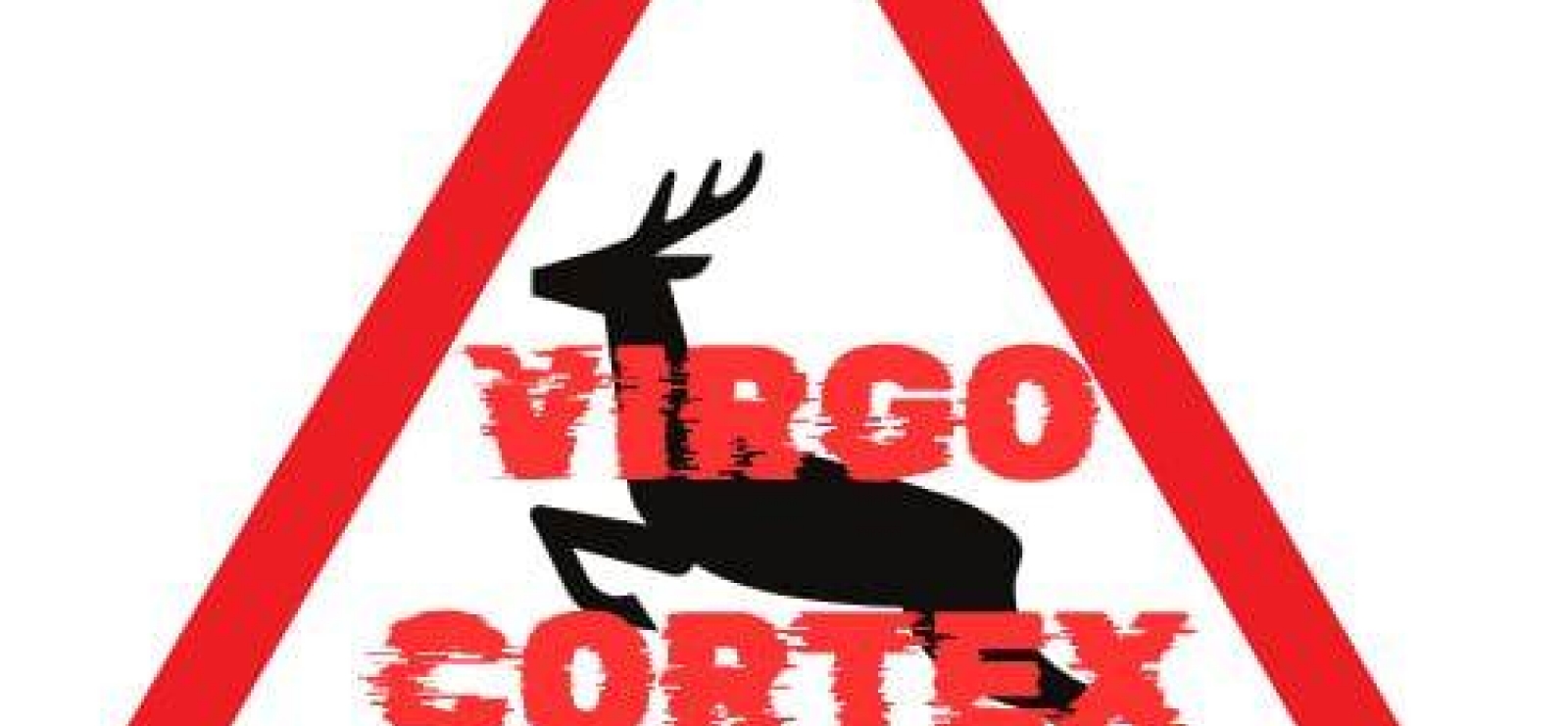 Groupe Virgo Cortex