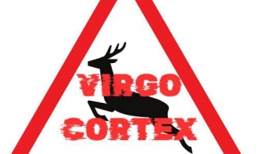 Groupe Virgo Cortex