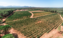 Domaine de Marchandise récolte raisins drone