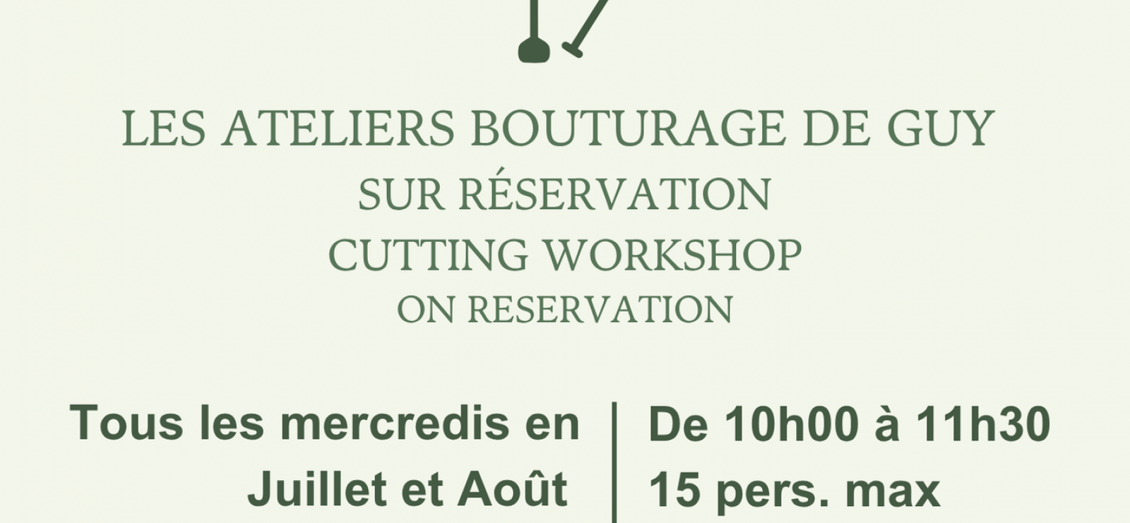 Atelier bouturage d'olivier