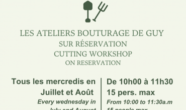 Atelier bouturage d'olivier