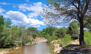 La vallée de l'Endre et ses pins parasols_Roquebrune-sur-Argens