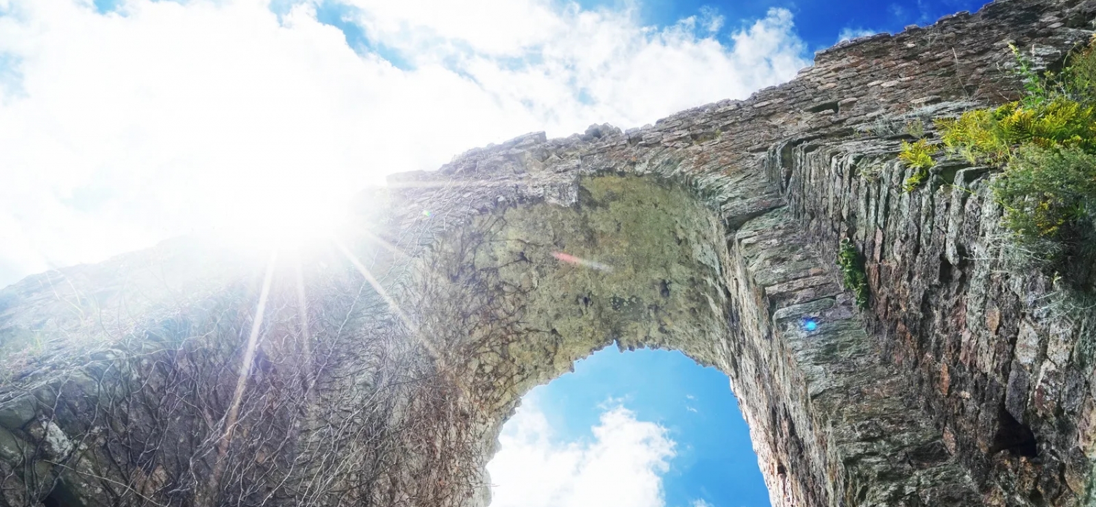 Les Arches Sénéquier Fréjus