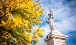 Fête du mimosa de Tanneron